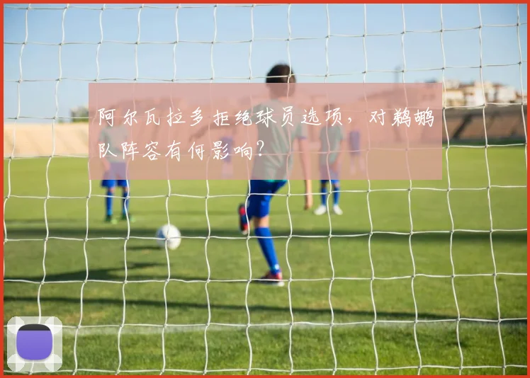 阿尔瓦拉多拒绝球员选项，对鹈鹕队阵容有何影响？